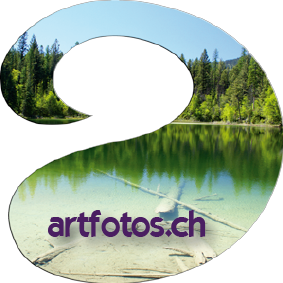 artfotos.ch